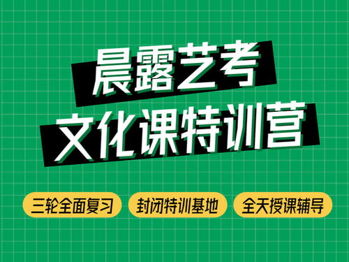 濟南晨露學校淺談山東藝考文化課不能忽視的問題